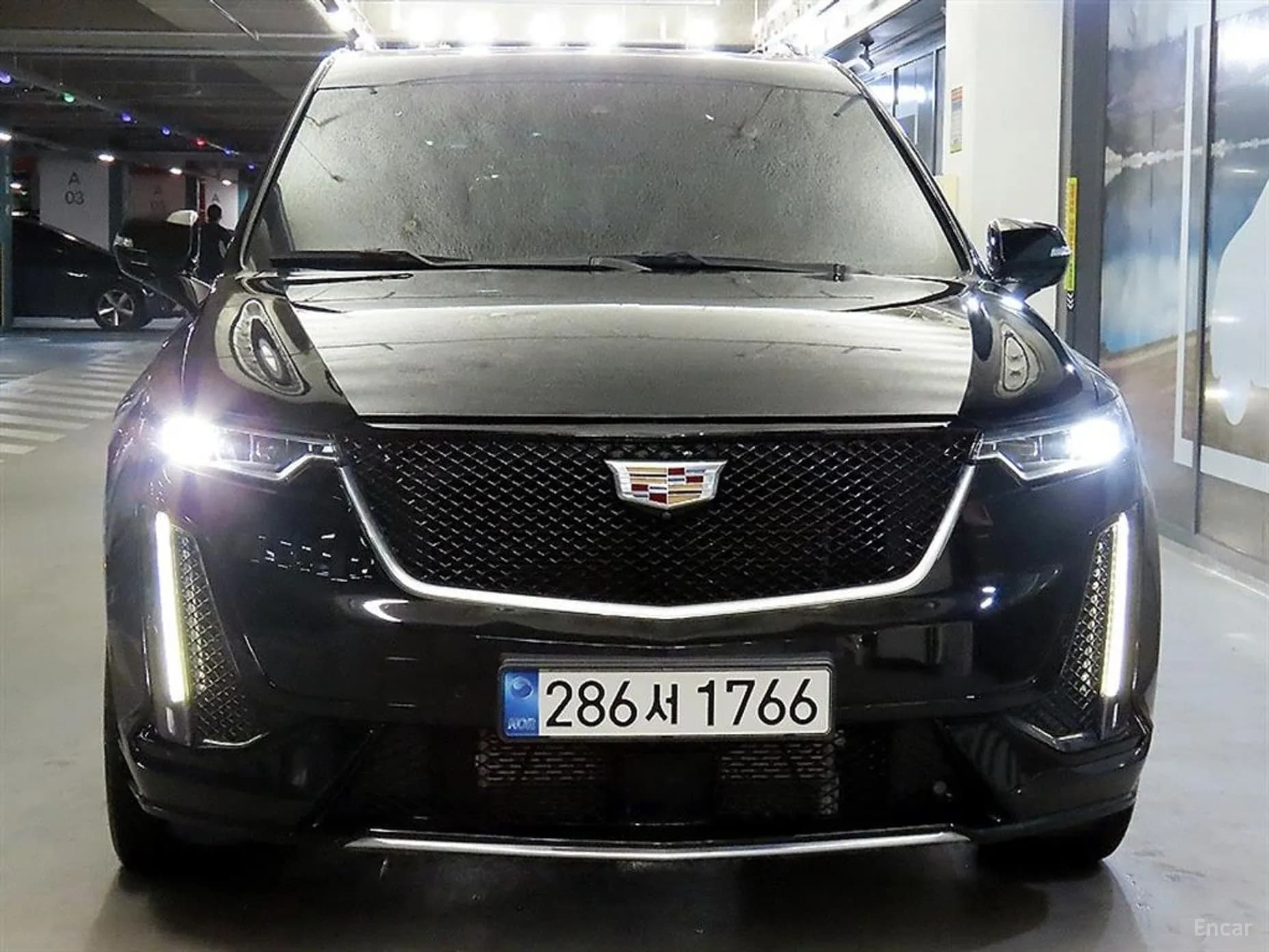 XT6