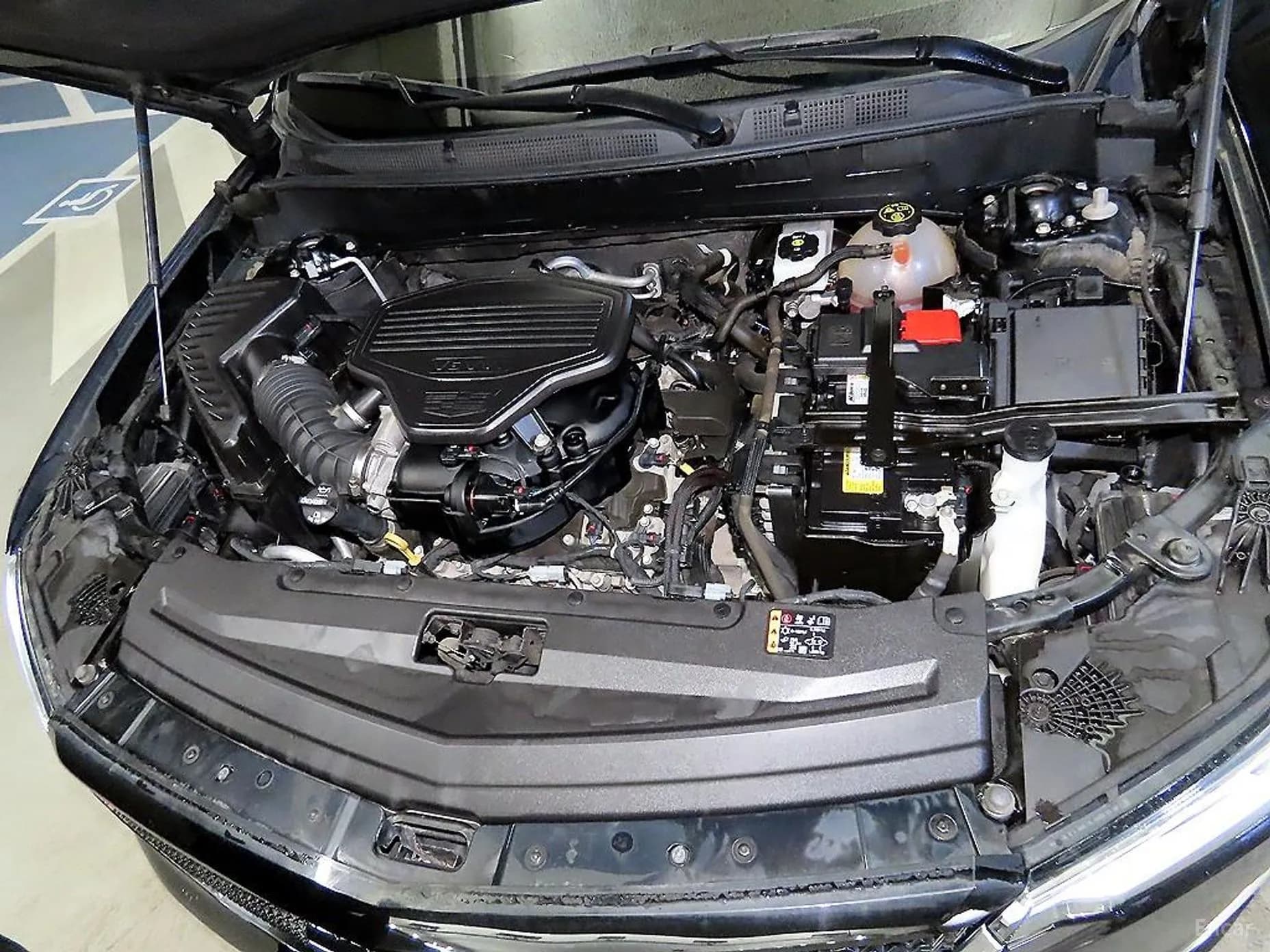 XT6