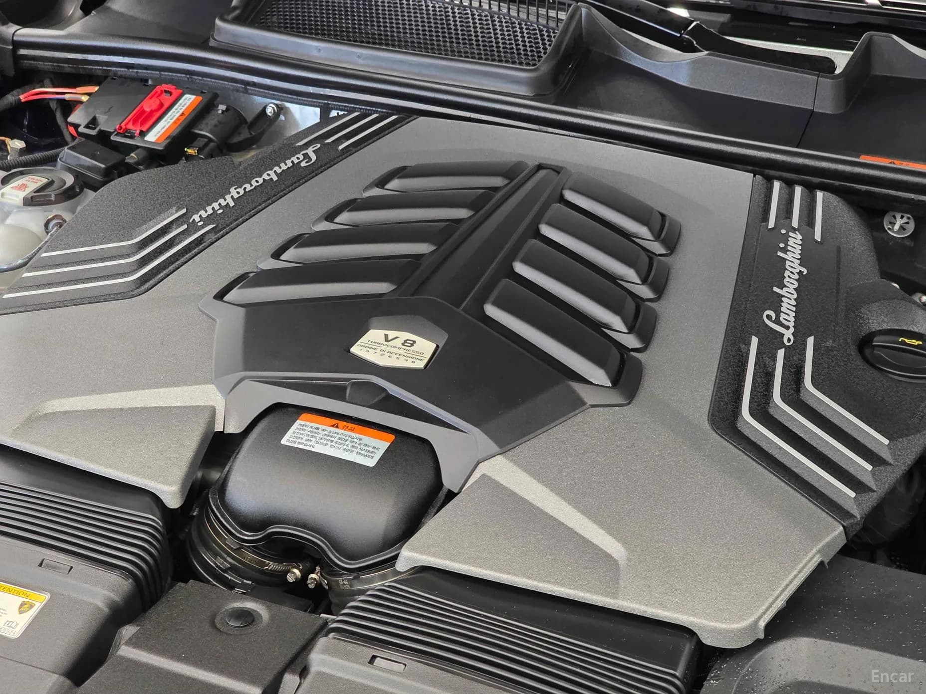Urus