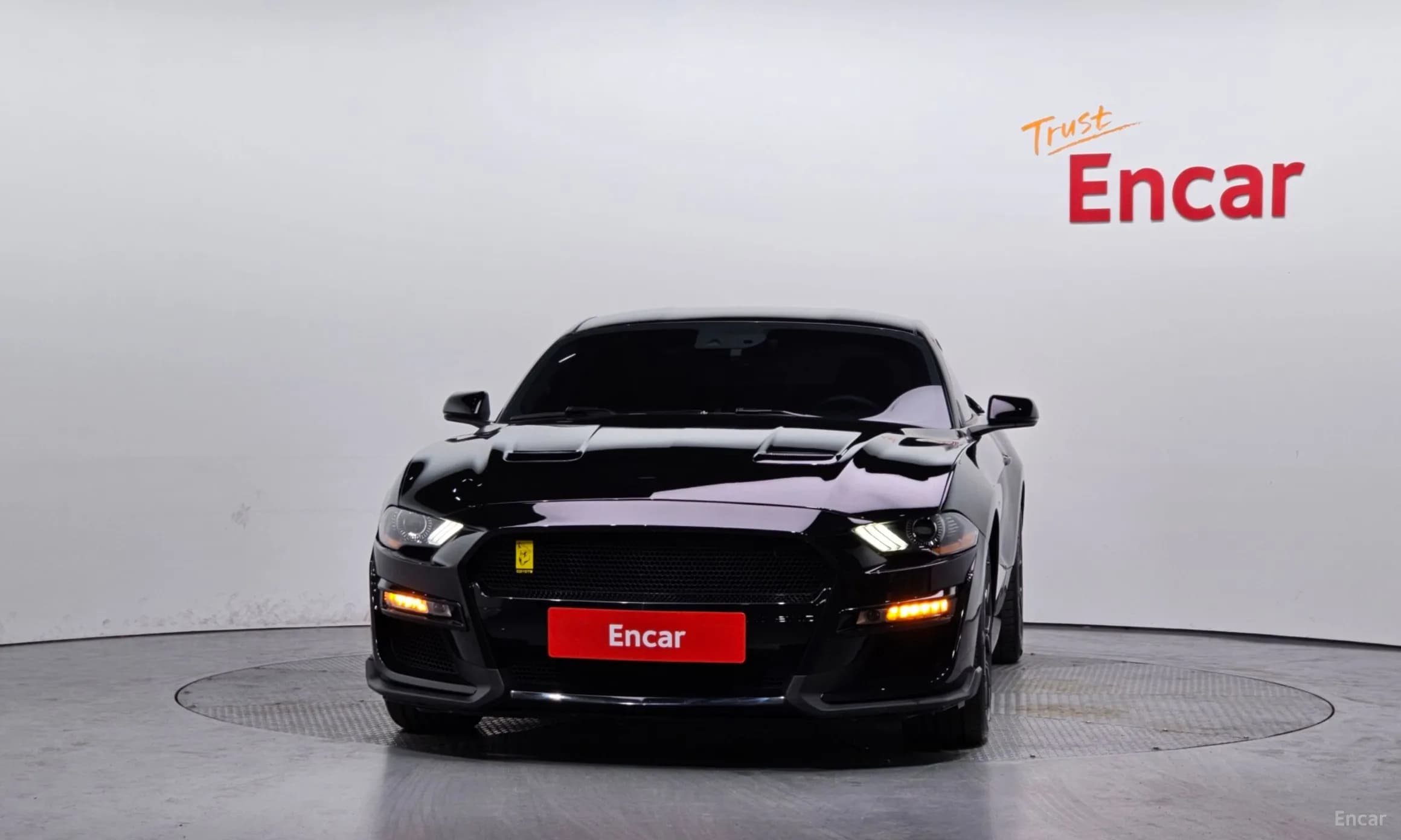 Mustang