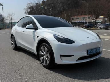 Model Y