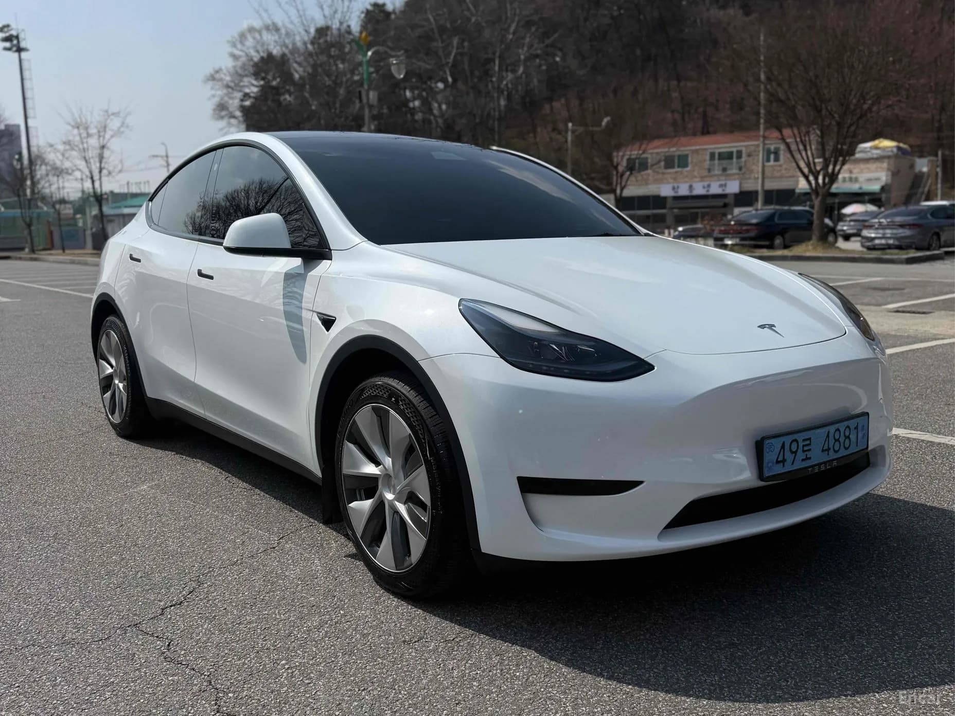 Model Y