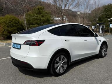 Model Y