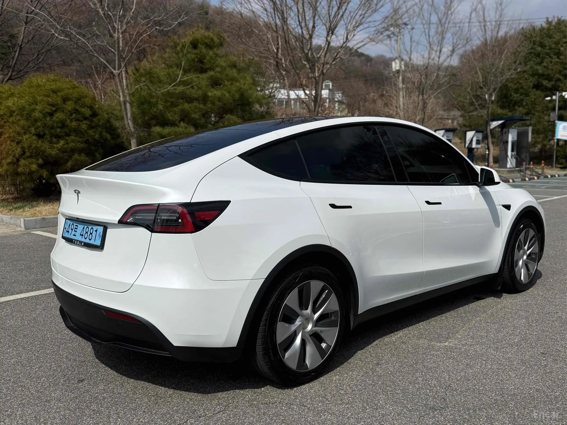 Model Y