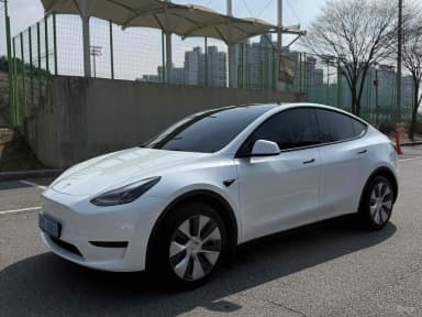Model Y
