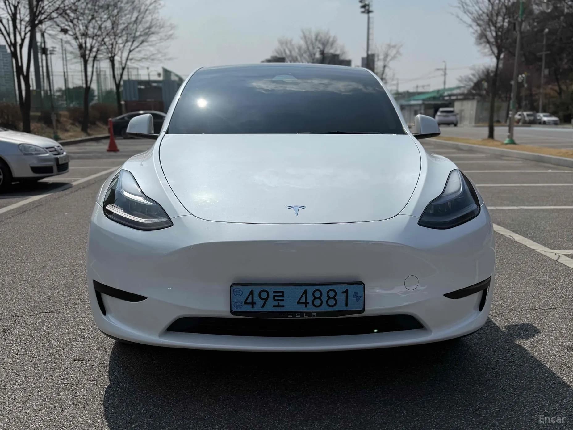 Model Y