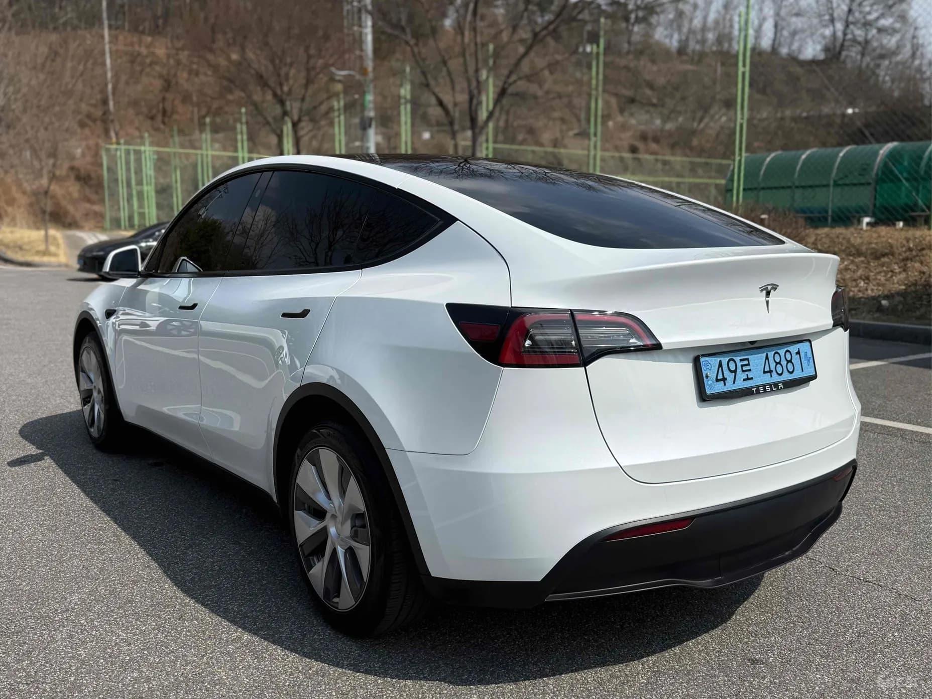 Model Y