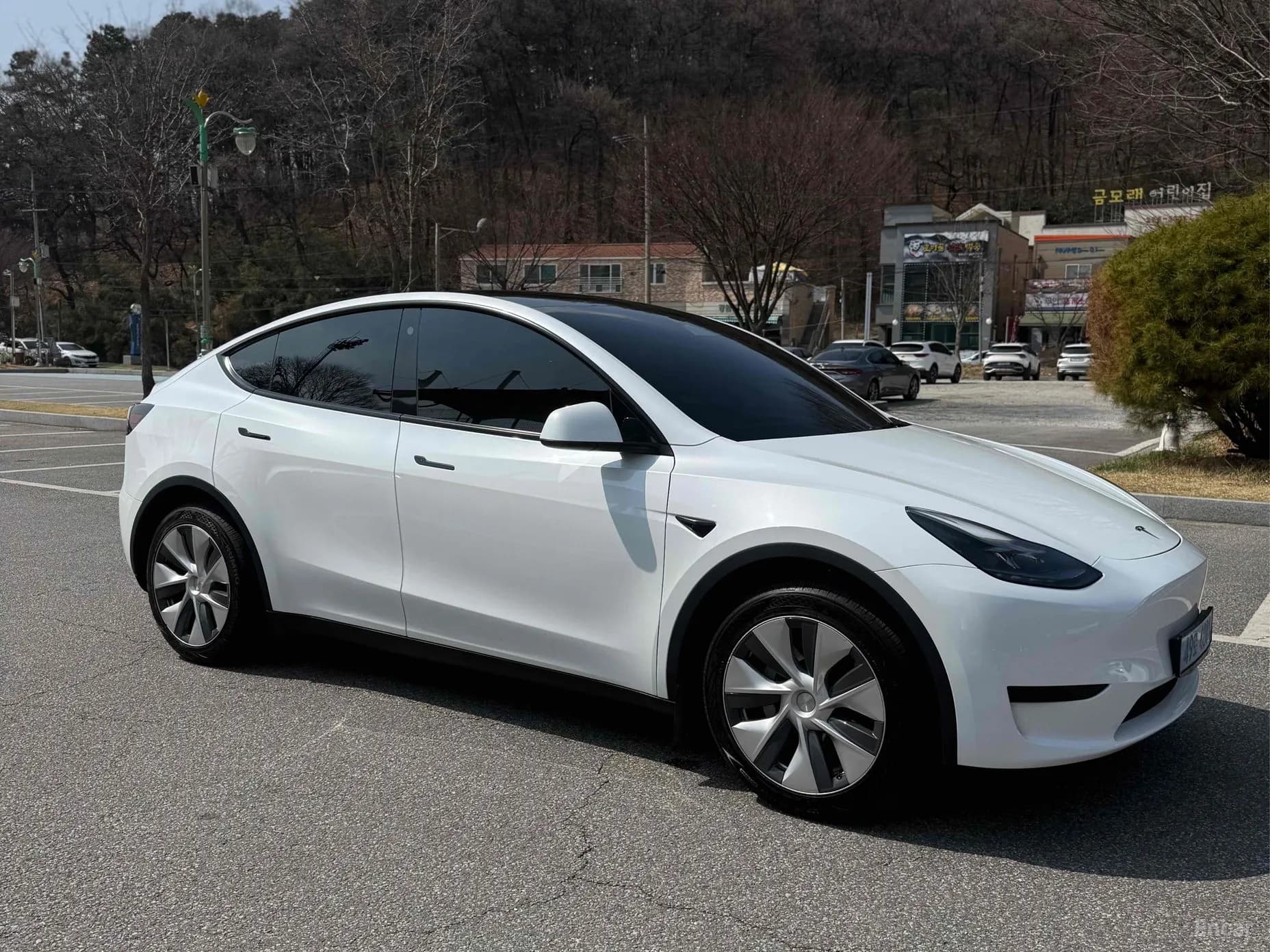 Model Y