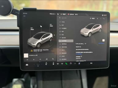 Model Y