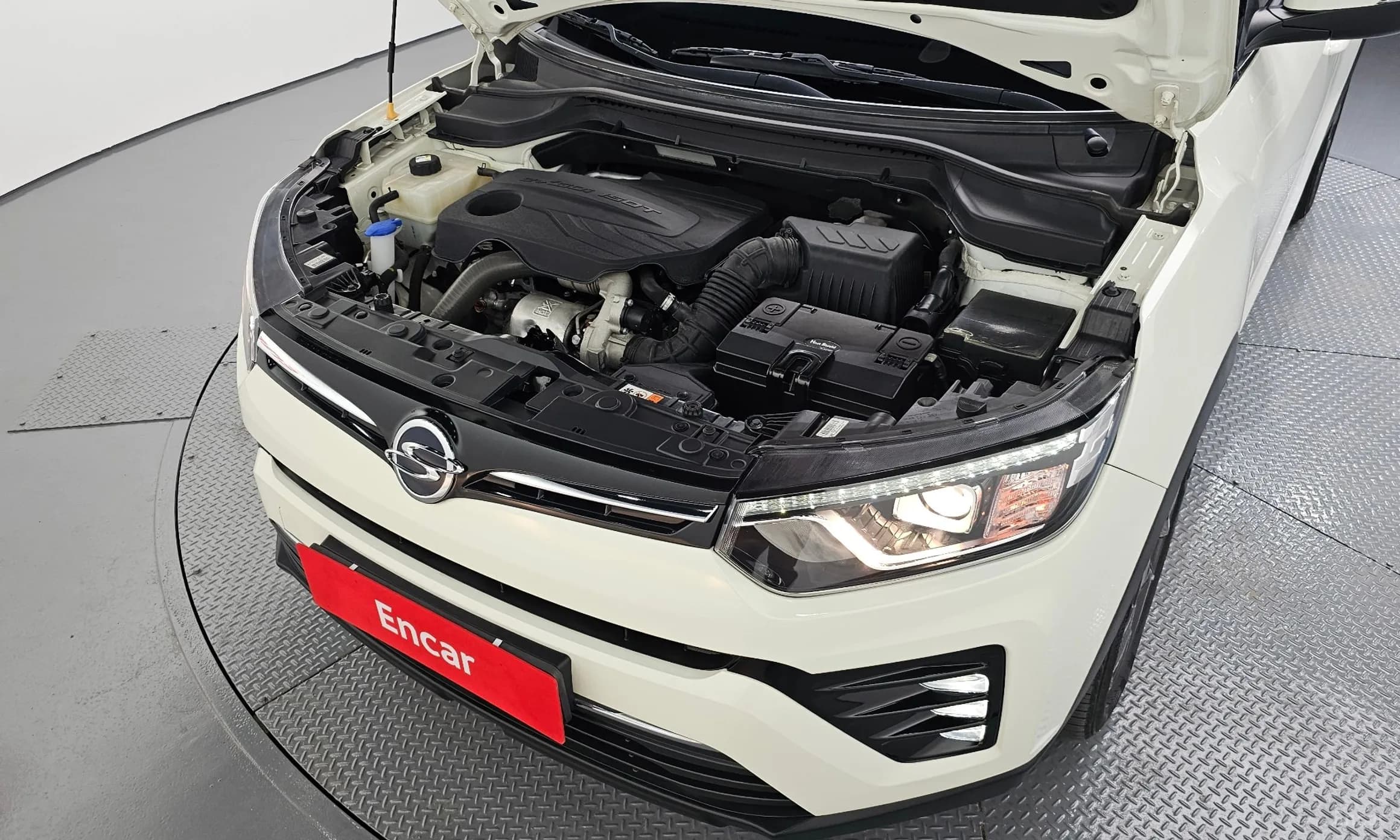 Berry New Tivoli