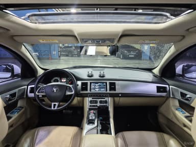 New XF