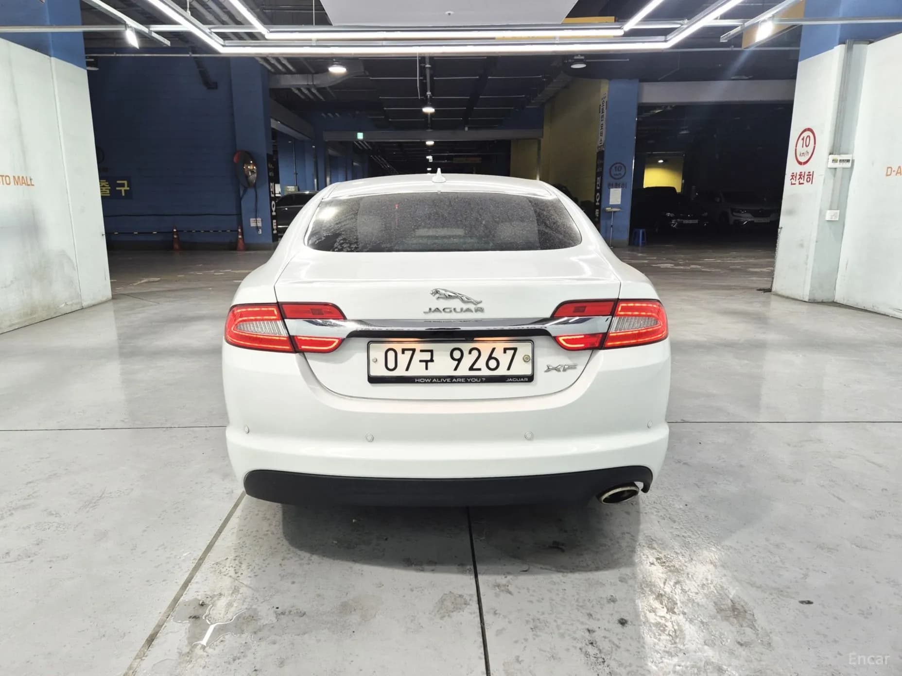New XF