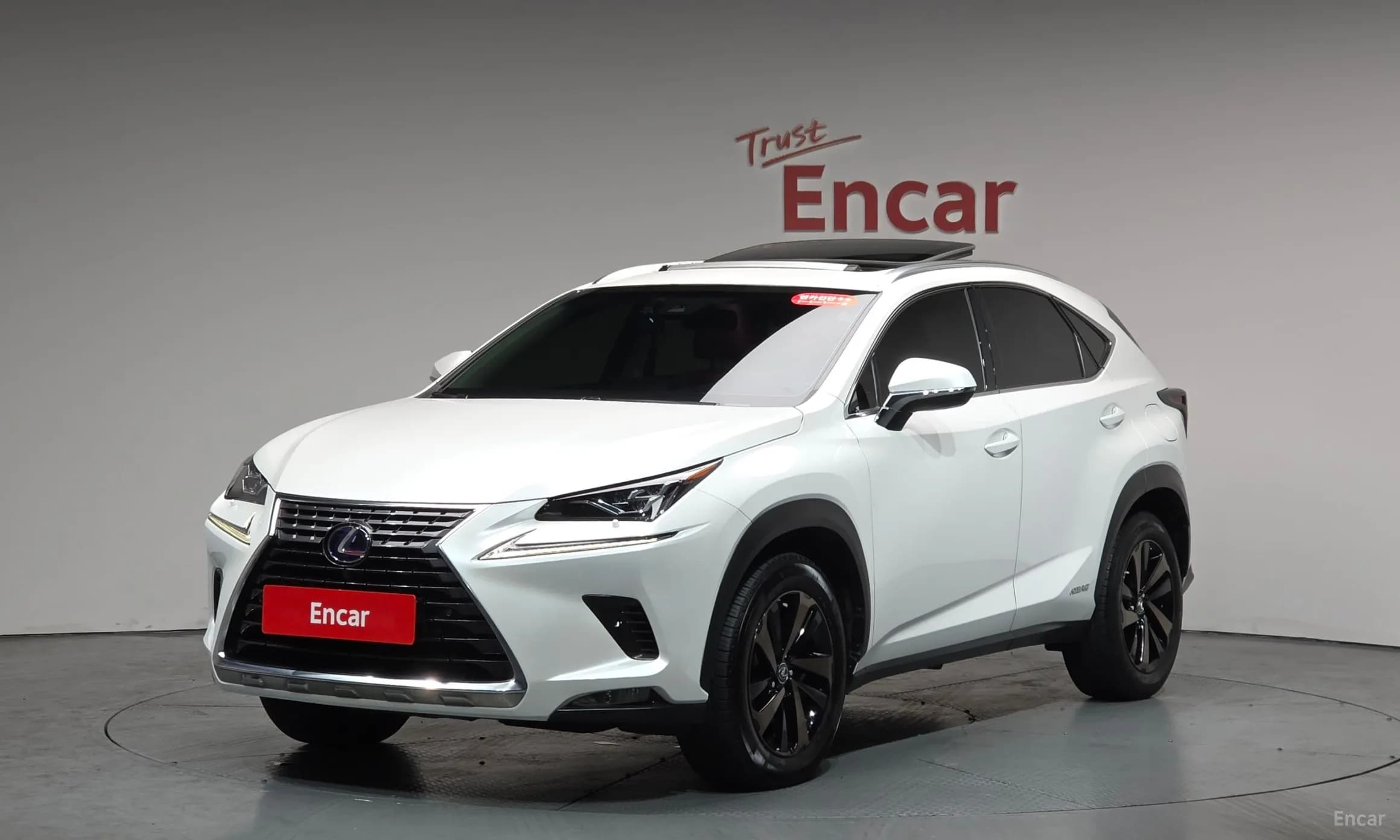NX300h