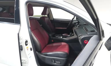 NX300h