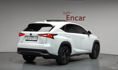 NX300h