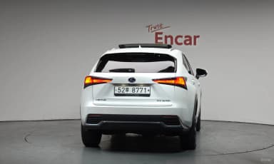 NX300h