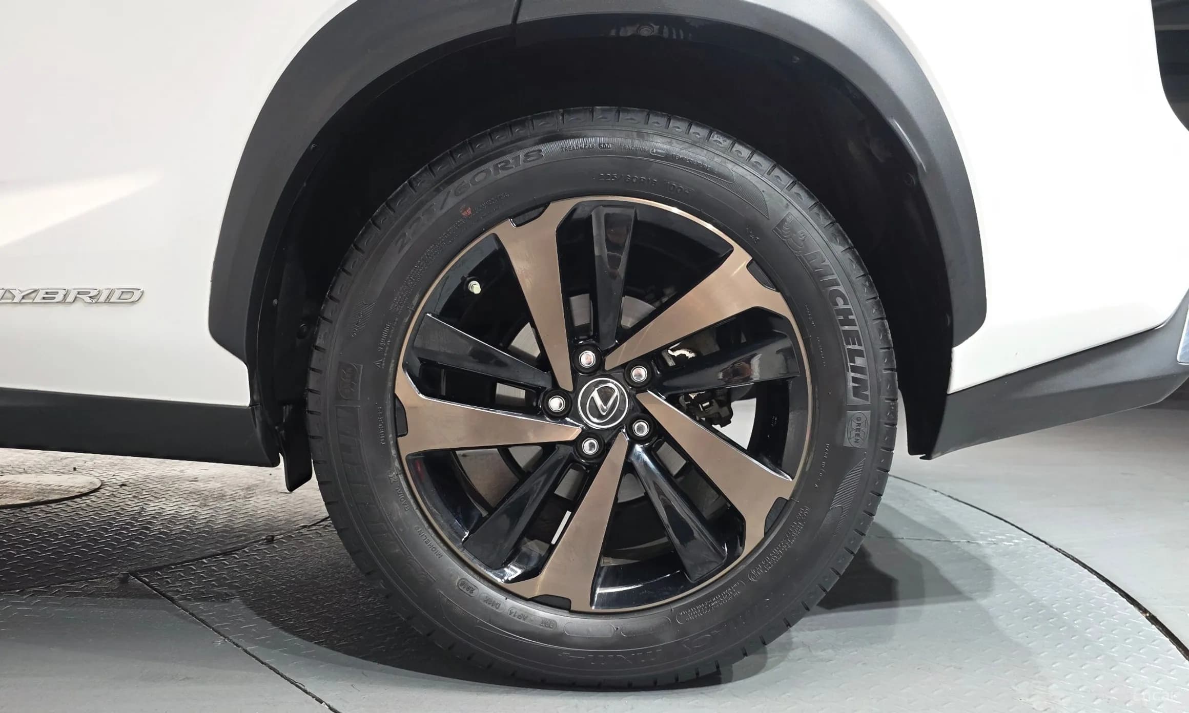NX300h