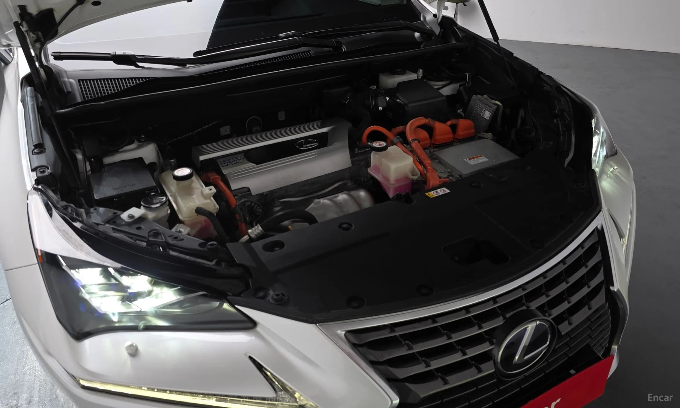 NX300h