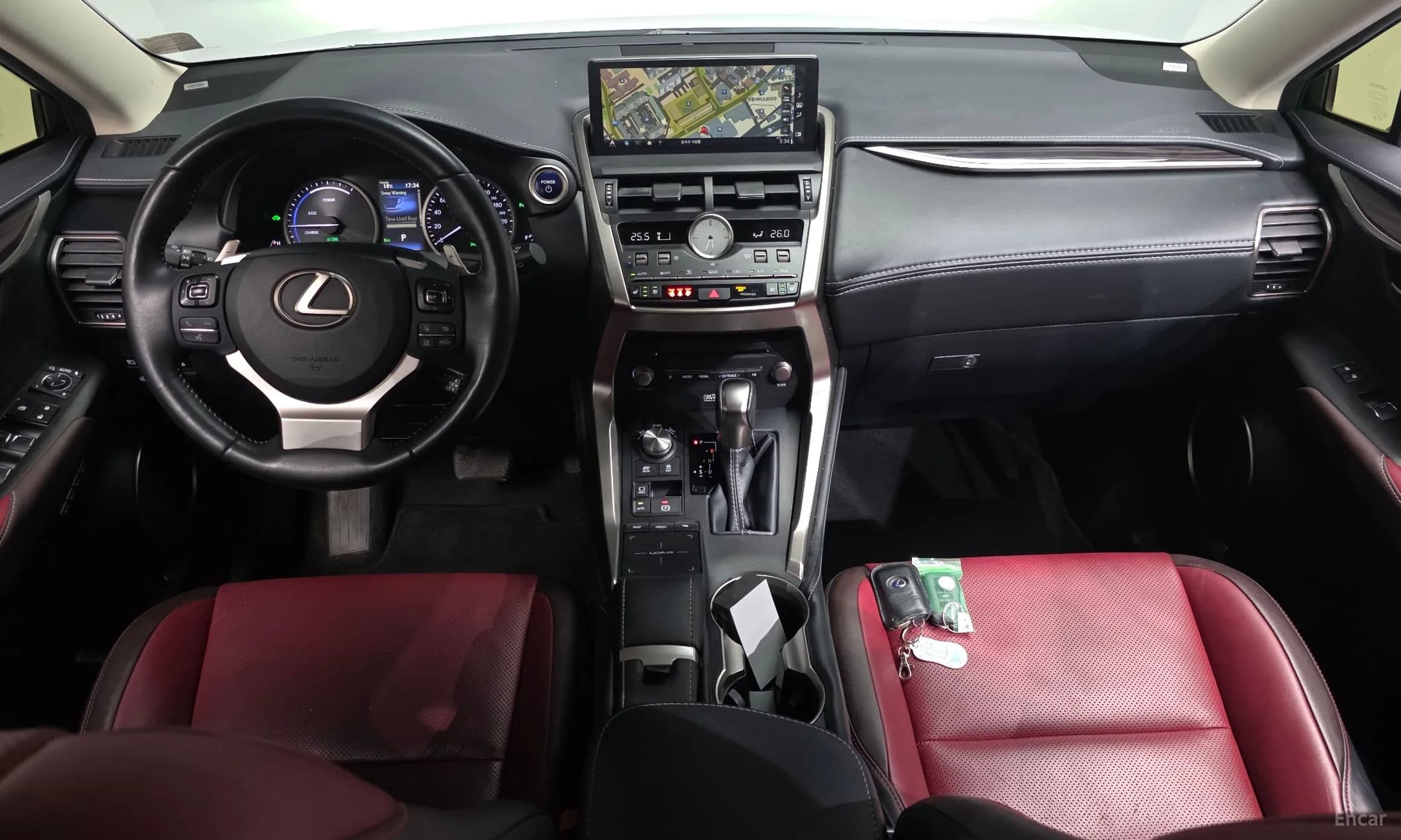 NX300h