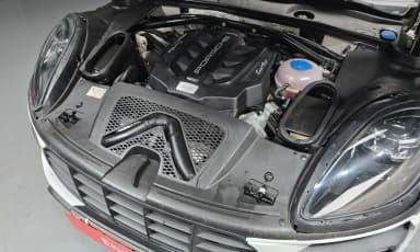 Macan