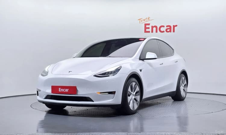 Model Y
