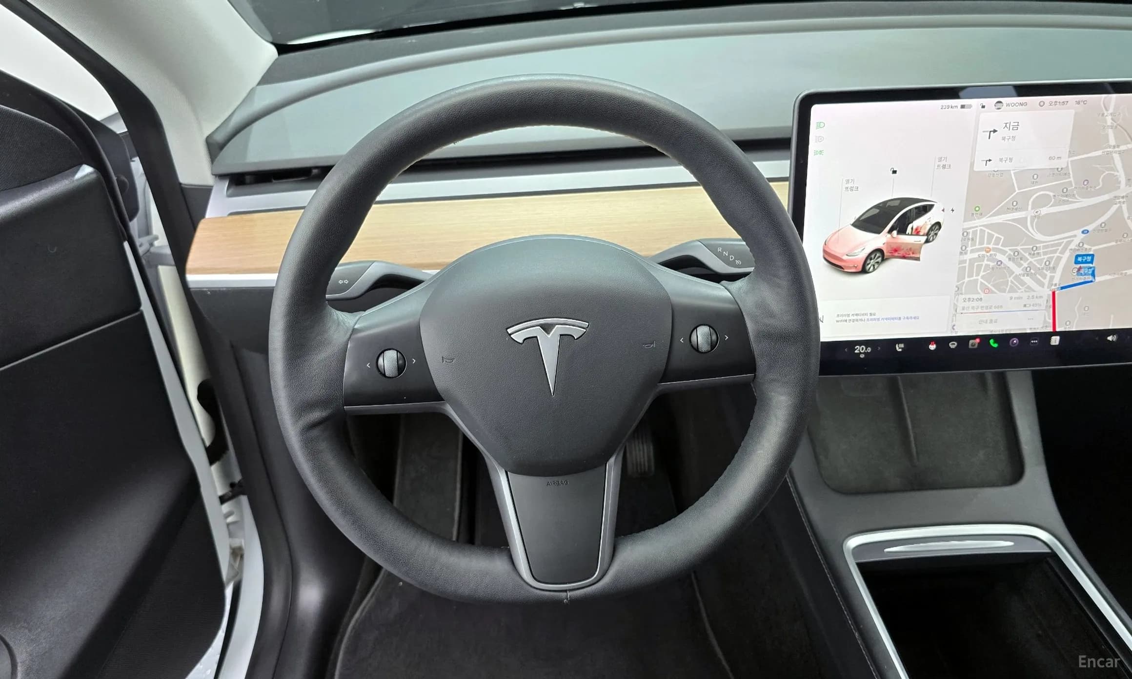 Model Y