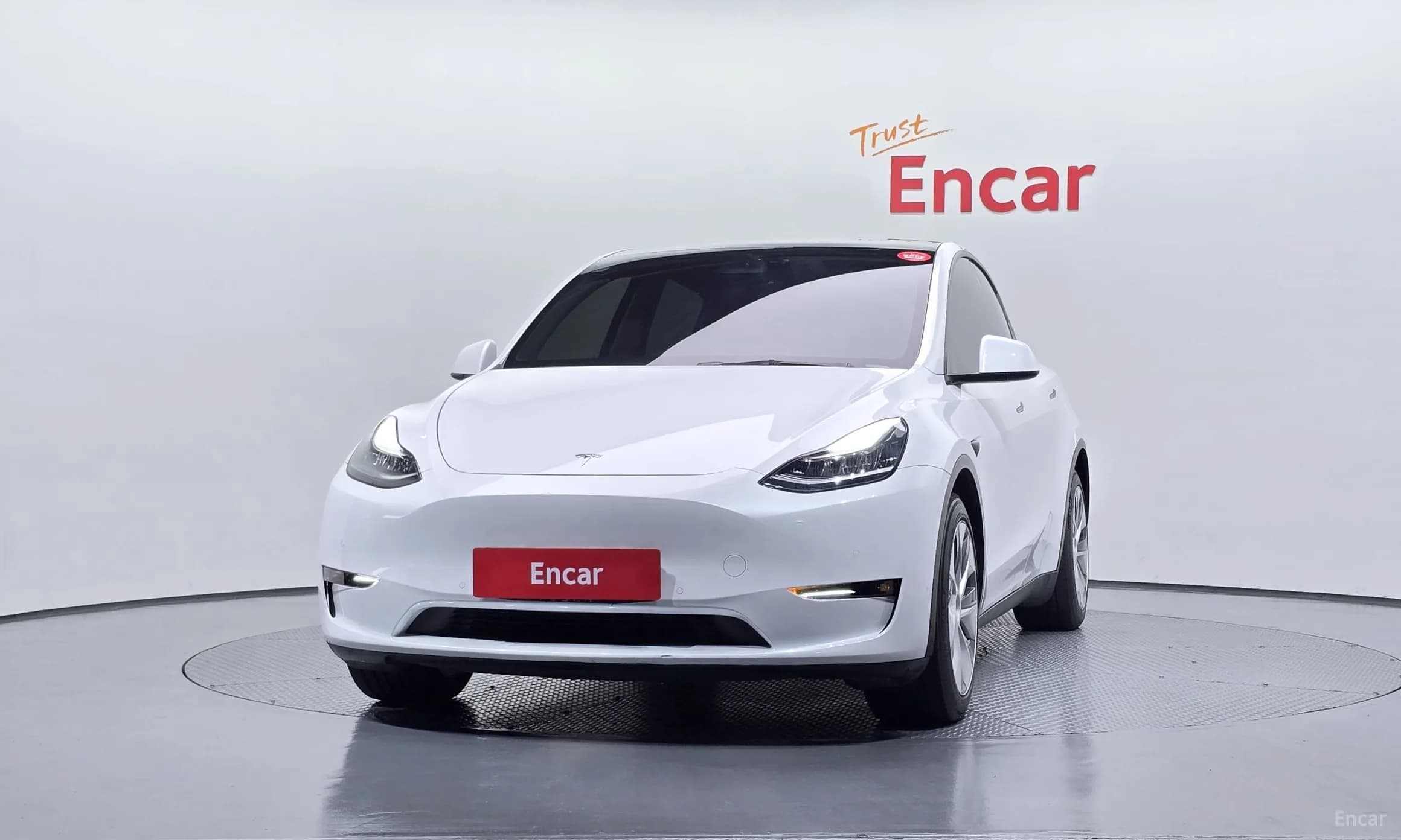 Model Y