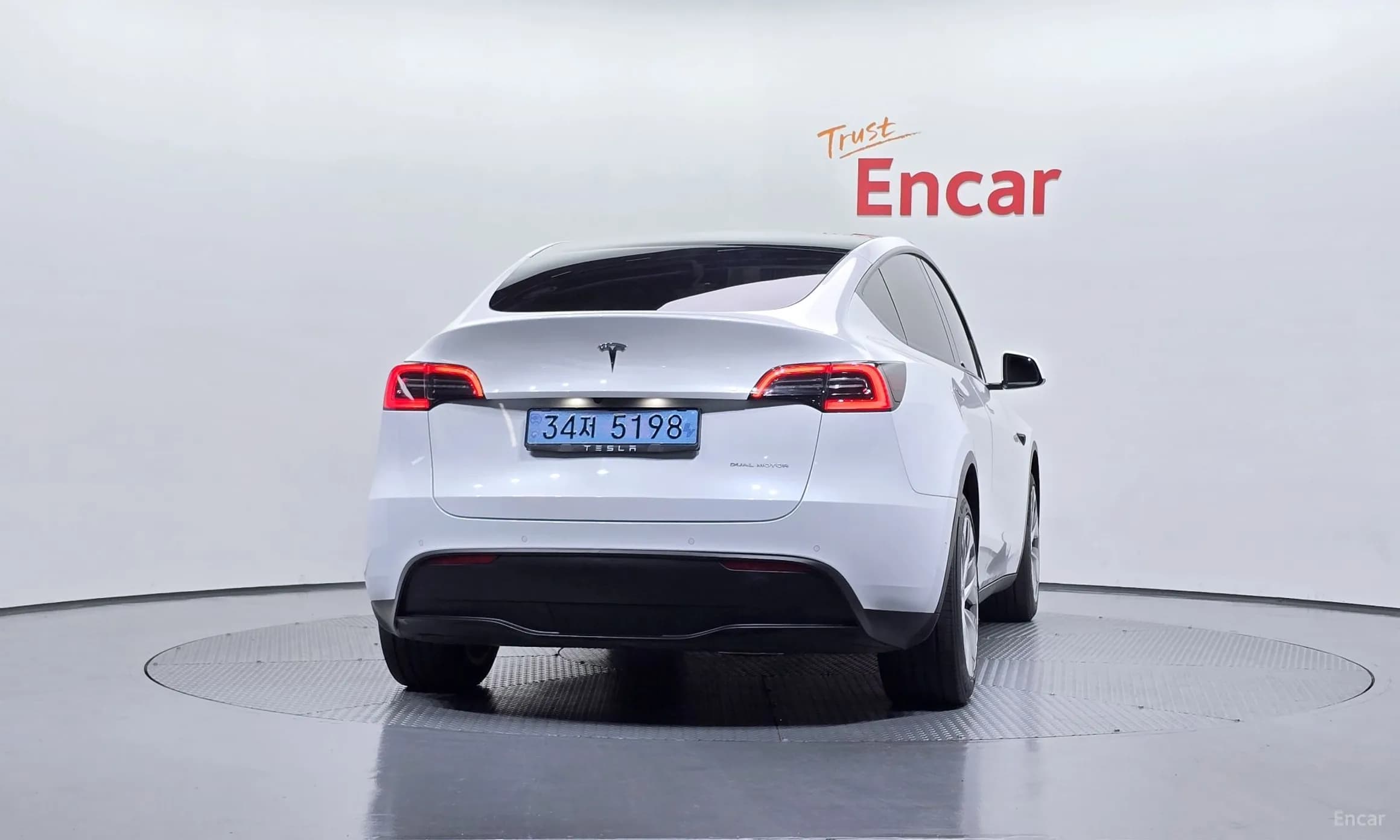 Model Y