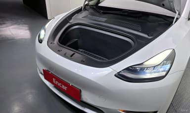 Model Y