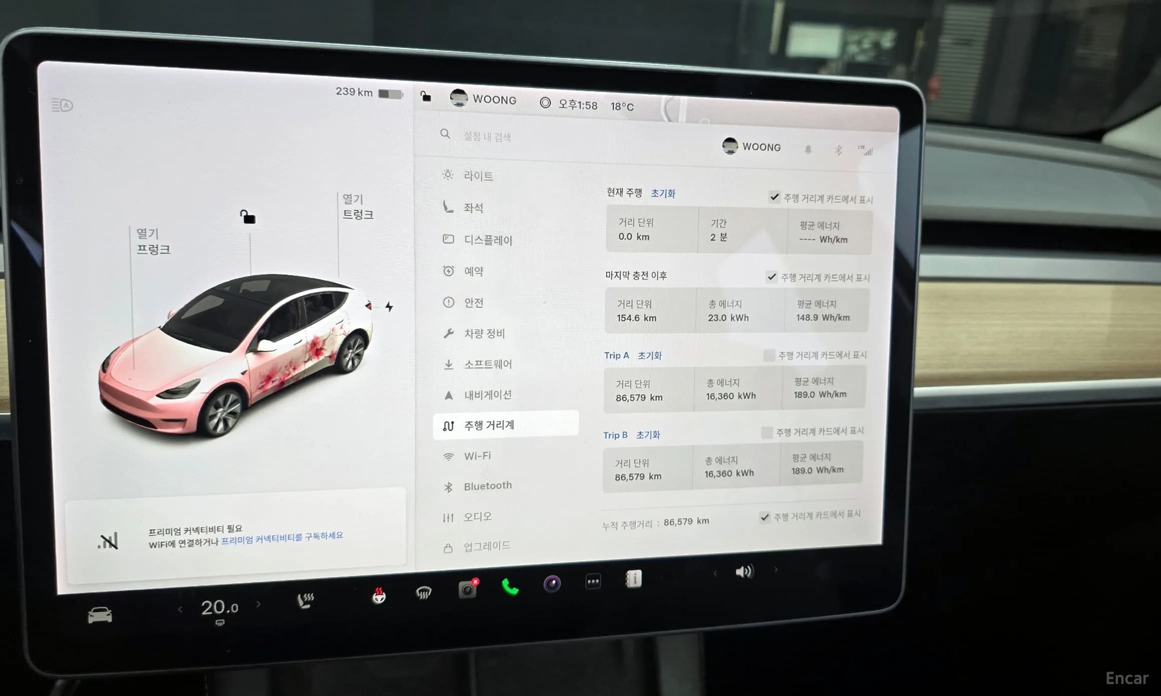Model Y