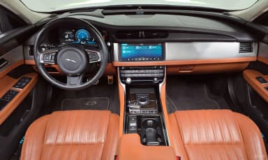 XF (x260)