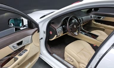 New XF