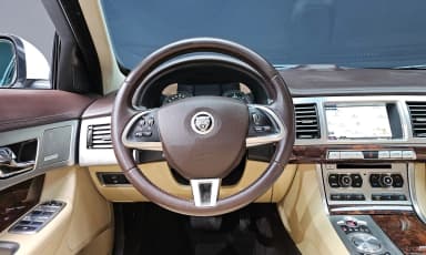 New XF
