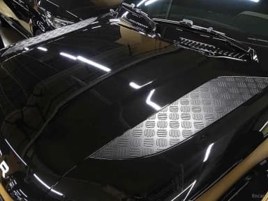 Defender (L663)