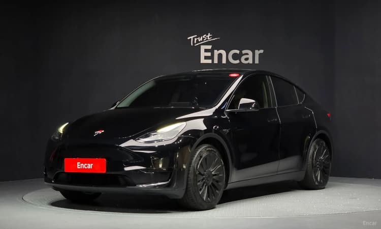 Model Y
