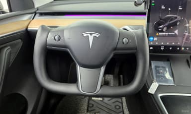 Model Y