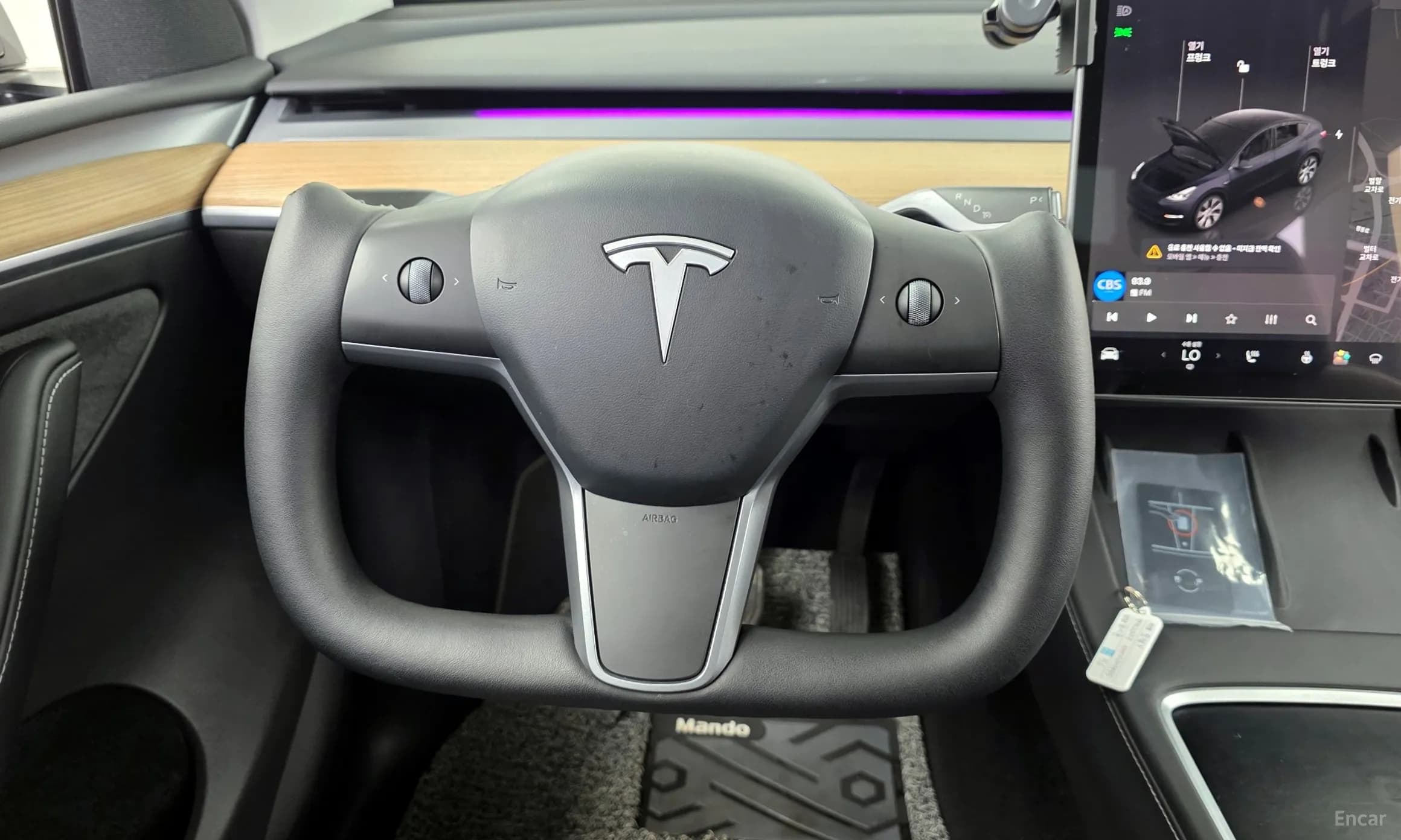 Model Y