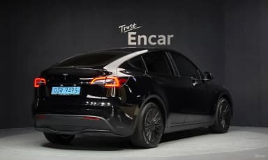 Model Y