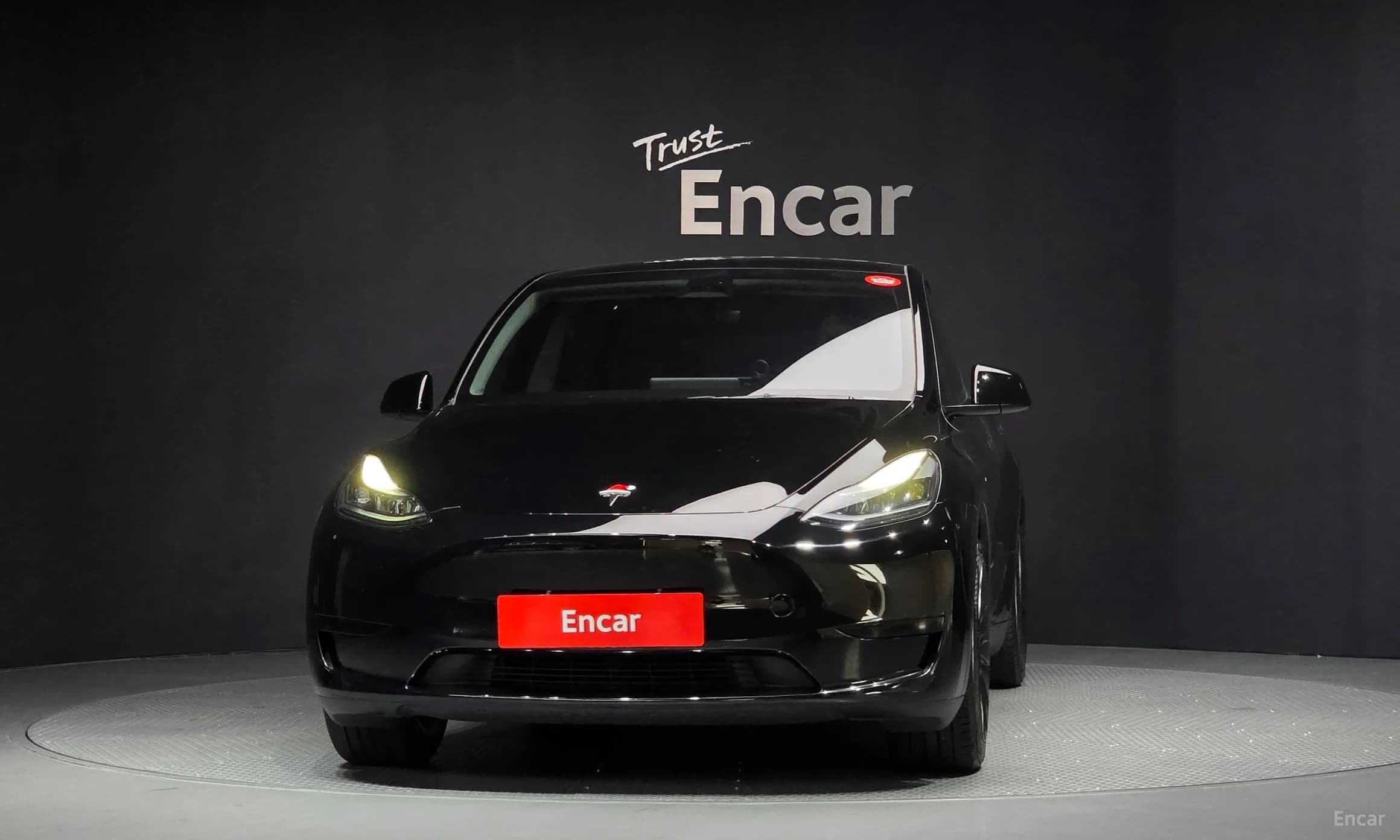 Model Y