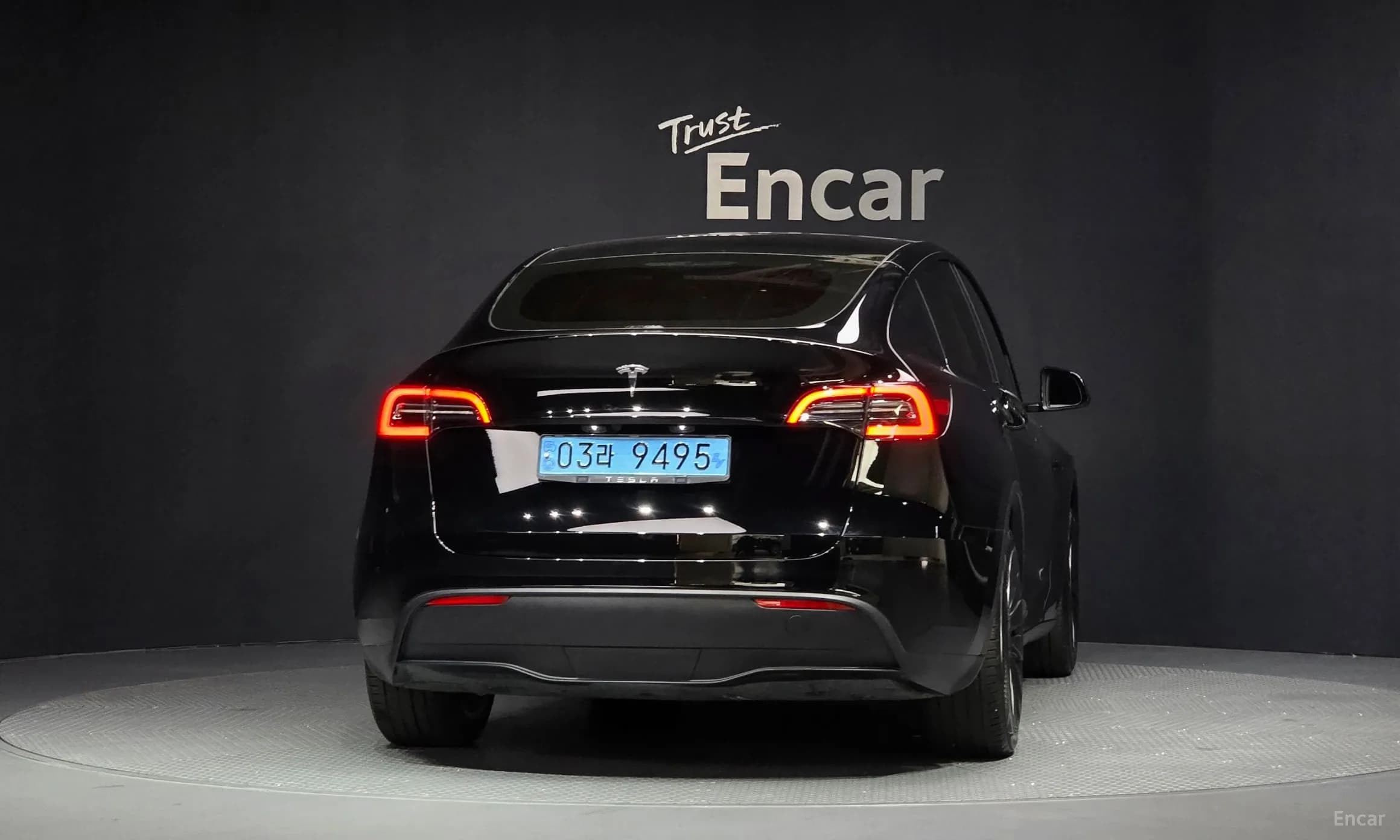 Model Y