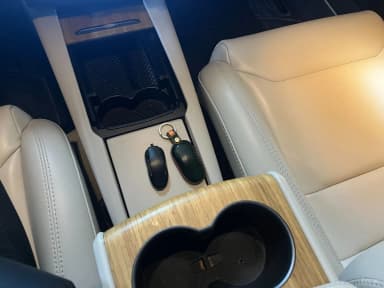 Model S