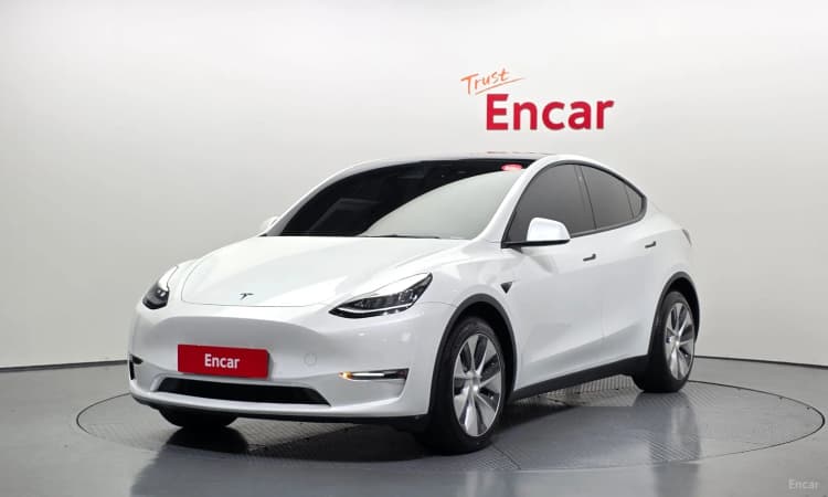 Model Y