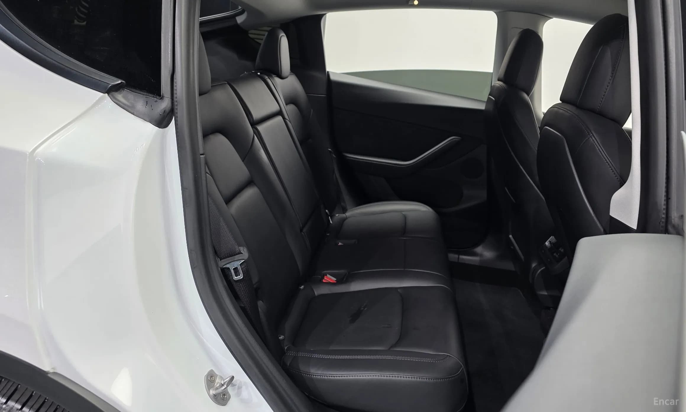 Model Y