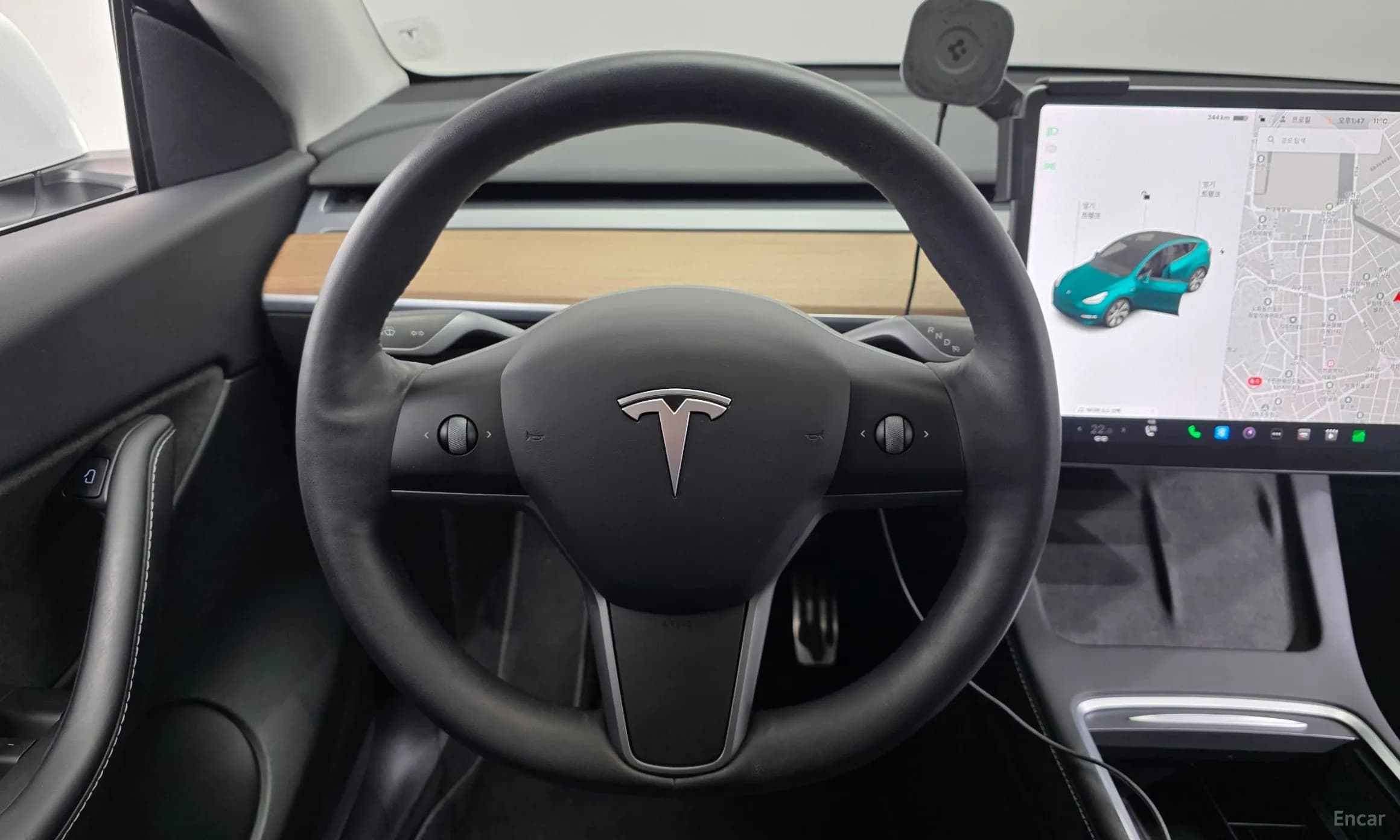 Model Y
