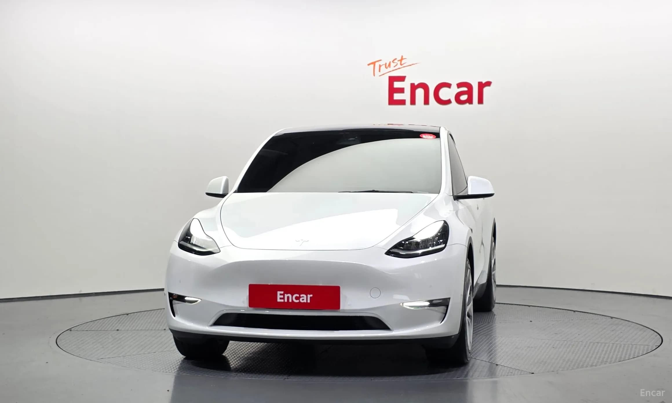 Model Y