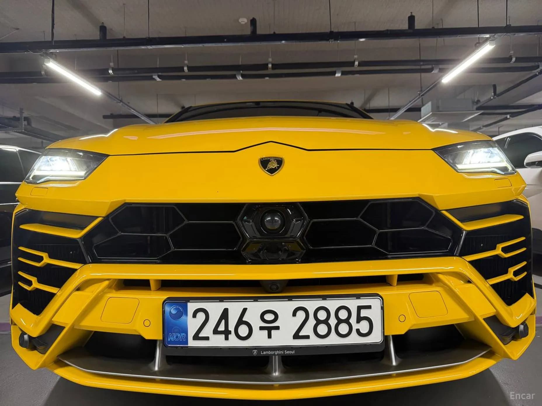 Urus