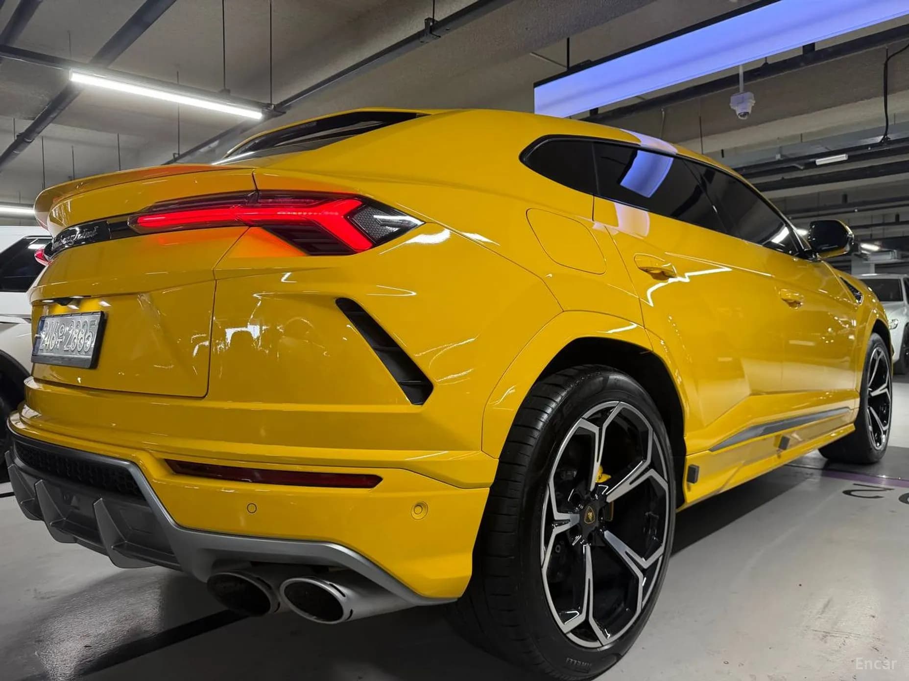 Urus