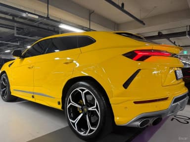 Urus