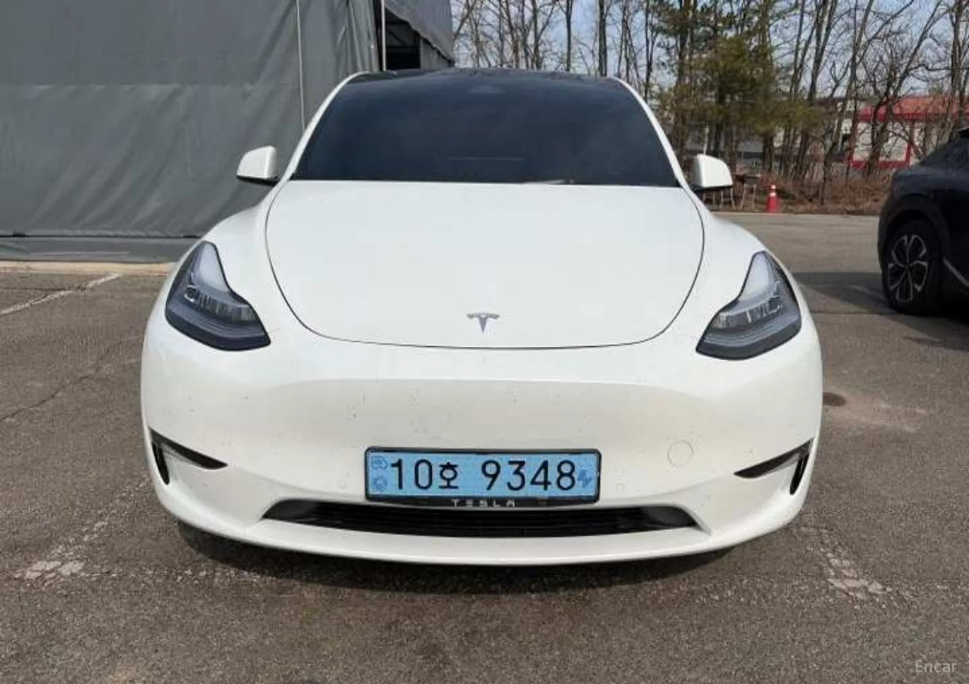 Model Y
