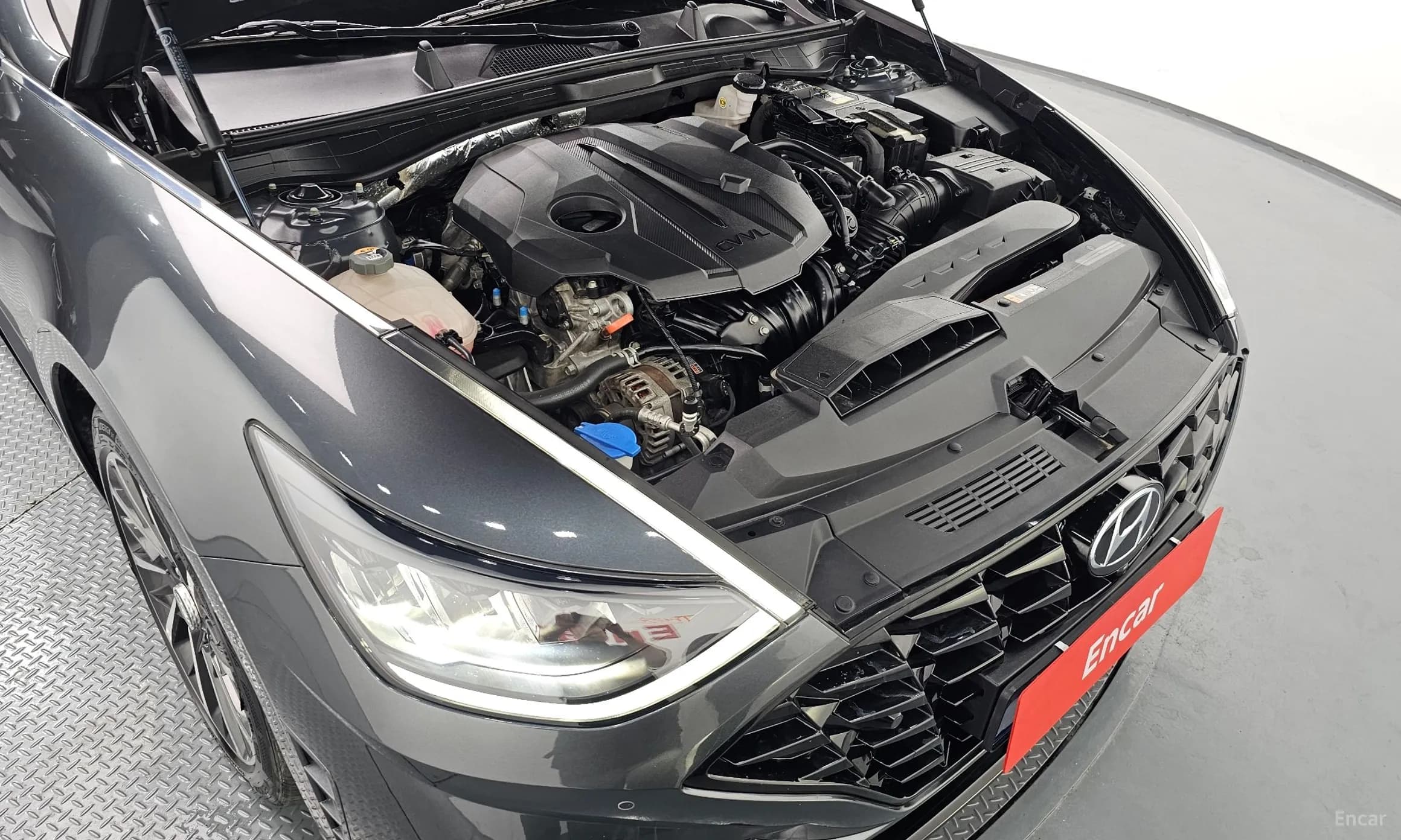 Sonata (DN8)